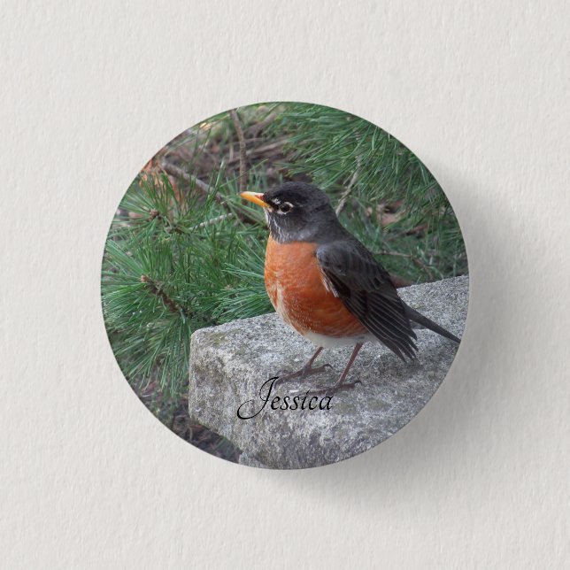Badge Rond 2,50 Cm Robin Photo Nom personnalisé (Devant)
