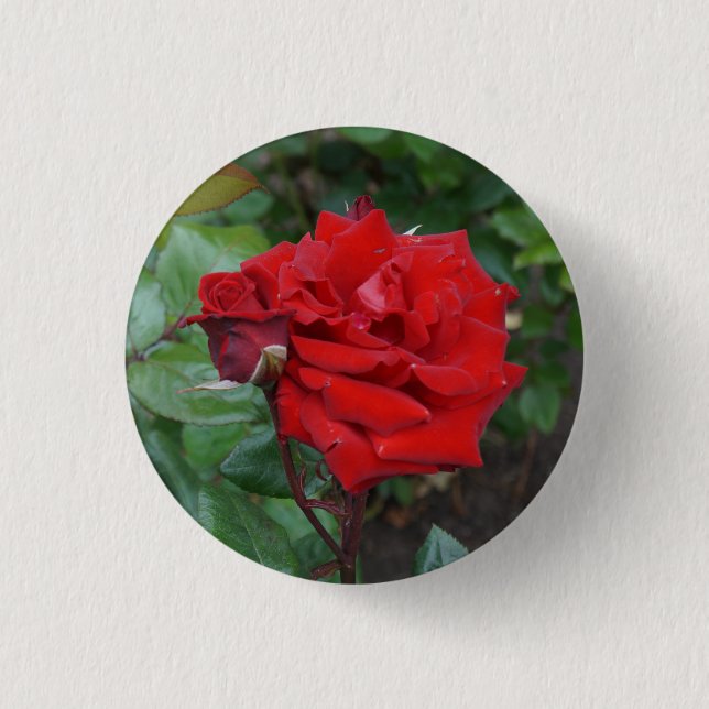 Badge Rond 2,50 Cm Rose de bouquet Crimson #2 Bouton (Devant)