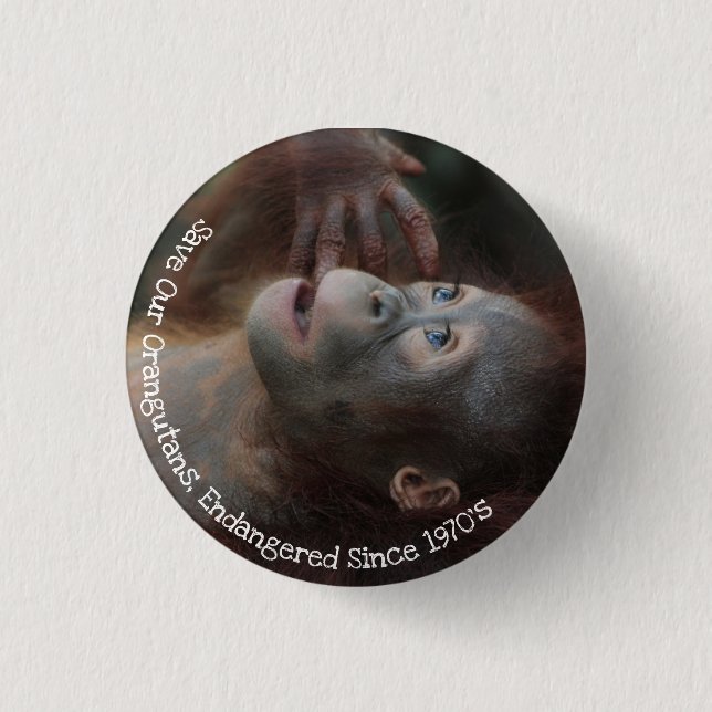 Badge Rond 2,50 Cm Sauvez nos Orangutans (Devant)