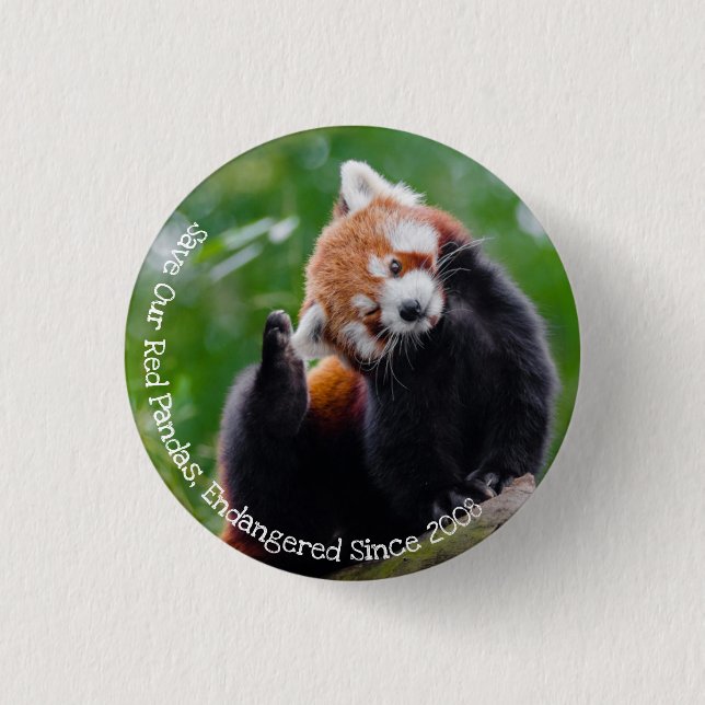 Badge Rond 2,50 Cm Sauvez nos pandas rouges (Devant)