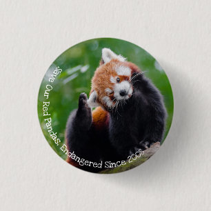 Badge Rond 2,50 Cm Sauvez nos pandas rouges