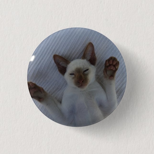 Badge Rond 2,50 Cm Siamese cat button (Devant)