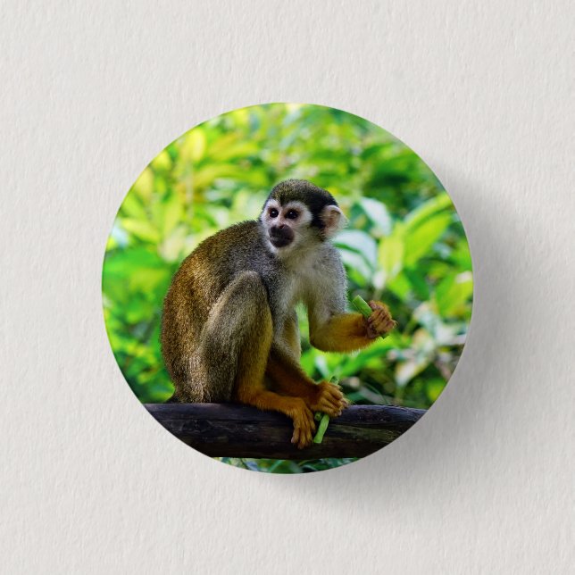 Badge Rond 2,50 Cm Singe-écureuil mignon (Devant)