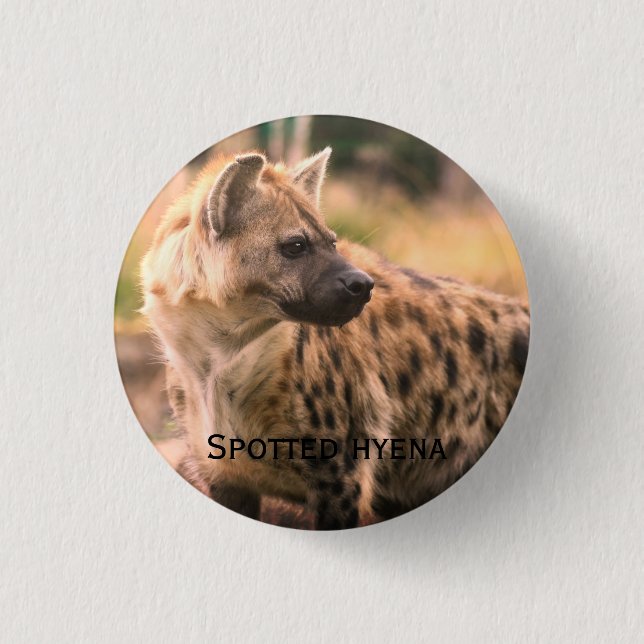 Badge Rond 2,50 Cm Spotted hyena：Savannah sunset (Devant)