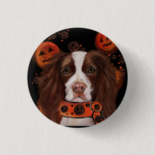 Badge Rond 2,50 Cm Springer Spaniel Anglais       
