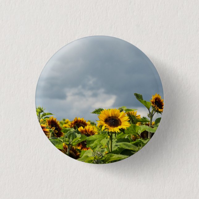 Badge Rond 2,50 Cm Sunflower Field Magnet (Devant)