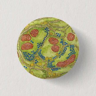 Badge Rond 2,50 Cm Synapse de TEM - Pin et bouton