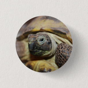 Badge Rond 2,50 Cm Tibbs