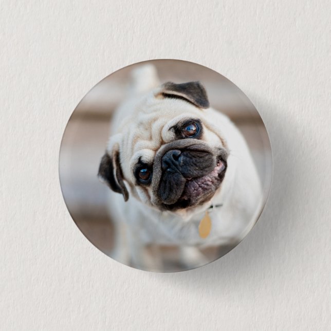 Badge Rond 2,50 Cm Tillette Carlin (Devant)