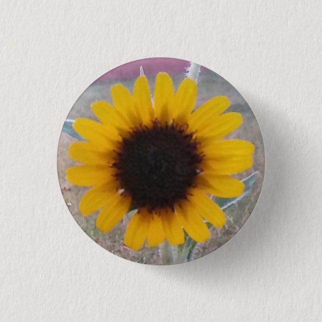 Badge Rond 2,50 Cm Tournesol (Devant)