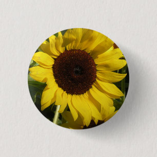 Badge Rond 2,50 Cm Tournesol