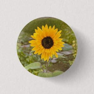 Badge Rond 2,50 Cm Tournesol
