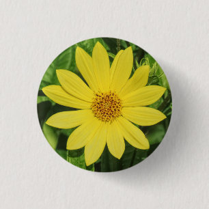 Badge Rond 2,50 Cm Tournesol de Helianthus 'Lemon Queen'