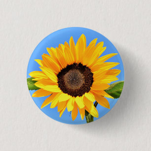 Badge Rond 2,50 Cm Tournesol jaune contre soleil sur ciel bleu - été 