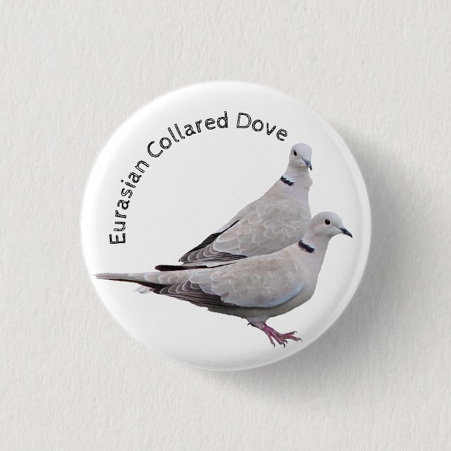 Badge Rond 2,50 Cm Tourterelle eurasienne (Devant)