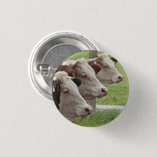 Badge Rond 2,50 Cm Trois vaches dans un bouton de ligne
