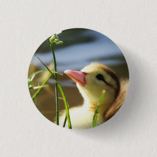 BADGE ROND 2,50 CM TROP MIGNON !!!!!!