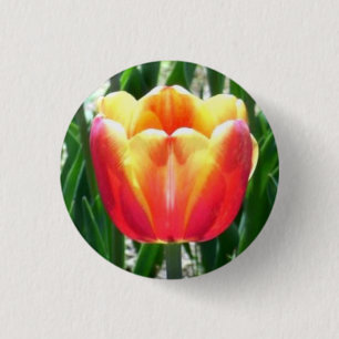 Badge Rond 2,50 Cm Tulip