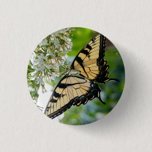 Badge Rond 2,50 Cm Un papillon aux ailes jaunes et noires