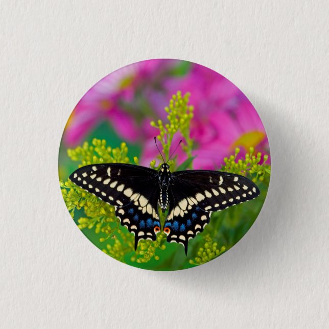 Badge Rond 2,50 Cm Un papillon Machaon se pose (Devant)