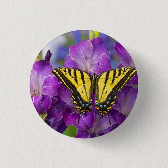 Badge Rond 2,50 Cm Un papillon Viceroy sur des glands mauves (Devant)