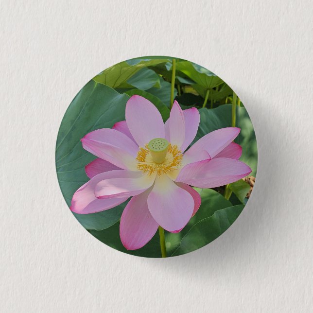 Badge Rond 2,50 Cm Une fleur de lotus vibrante (Devant)