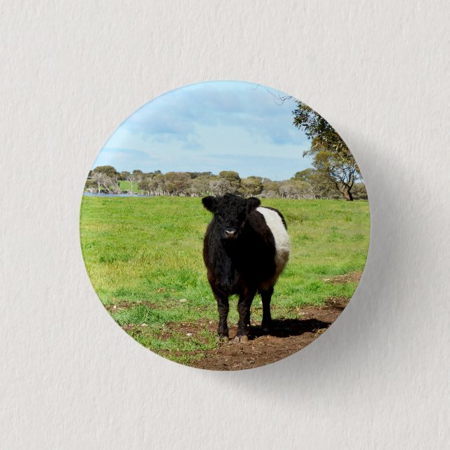 Badge Rond 2,50 Cm Vache galloway à ceinture femelle, anneau de clé (Devant)