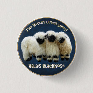 Badge Rond 2,50 Cm Valais Blaccusé - Le mouton le plus mou du monde !