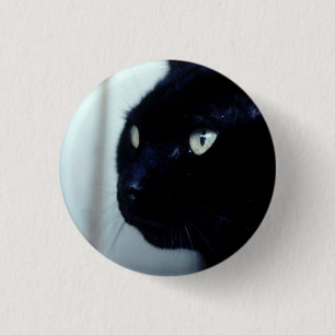 Badge Rond 2,50 Cm Visage de chat noir