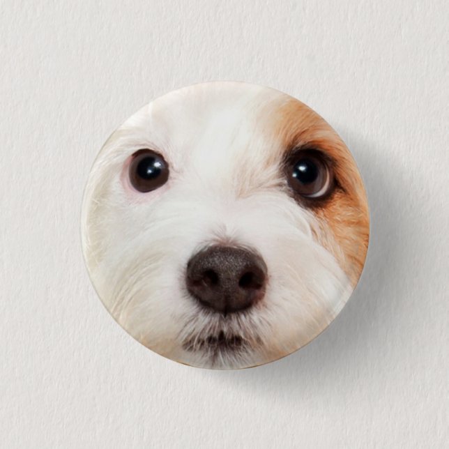 Badge Rond 2,50 Cm Visage de chiot (Devant)