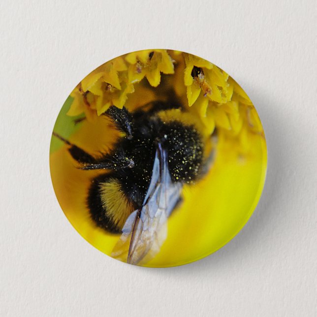 BADGE ROND 5 CM 101 (Devant)