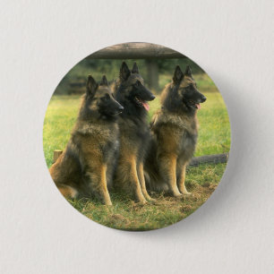 Badge Rond 5 Cm 3 bergers allemands
