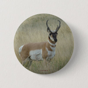 Badge Rond 5 Cm A8 Pronghorn Antelope