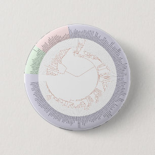 Badge Rond 5 Cm A phylogenetic tree of life Chart