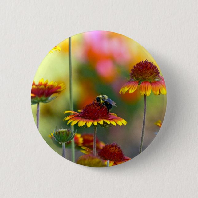 Badge Rond 5 Cm Abee sur Gaillardia (Devant)