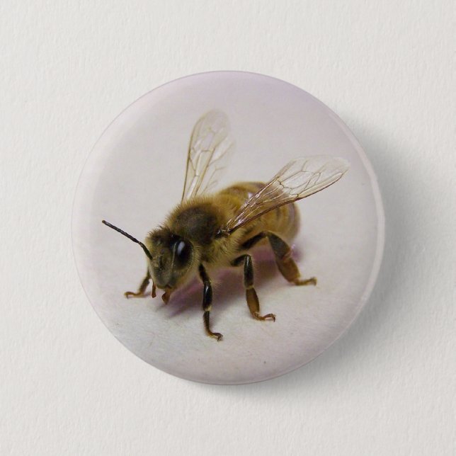 Badge Rond 5 Cm Abeille de miel (Devant)