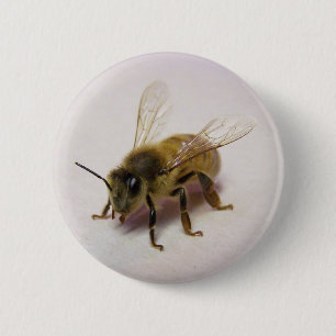 Badge Rond 5 Cm Abeille de miel