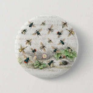 Badge Rond 5 Cm Abeille Reine Entomologie Botanique Vintage