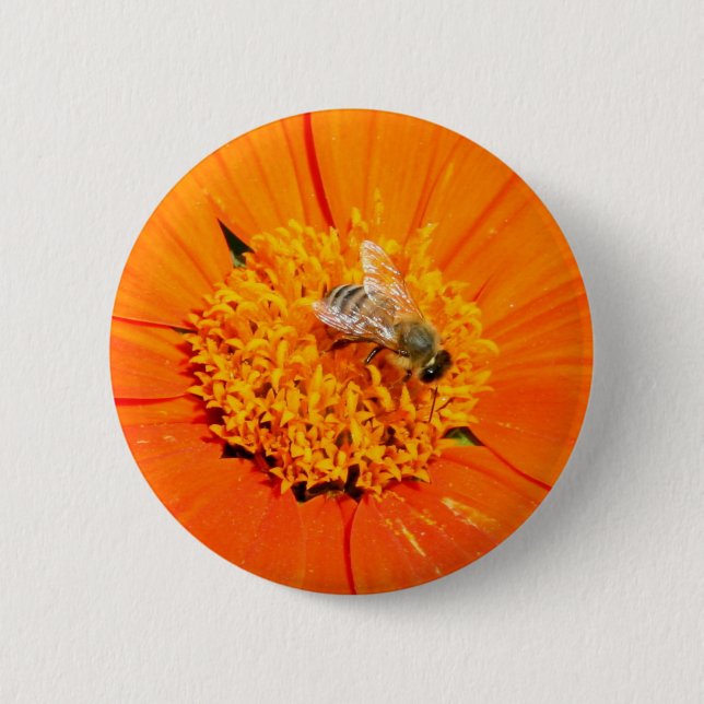 Badge Rond 5 Cm abeille sur bouton de fleur orange (Devant)