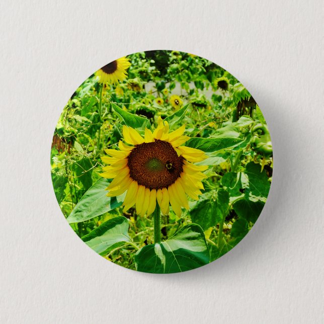 Badge Rond 5 Cm Abeille sur tournesol jaune (Devant)