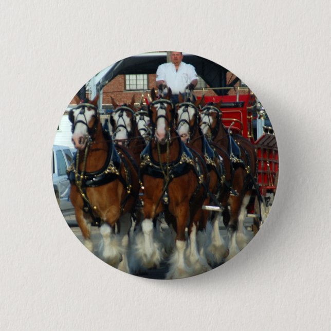 Badge Rond 5 Cm Accroc de cheval de Clydesdale 6 (Devant)