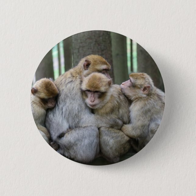 Badge Rond 5 Cm Accrochage du groupe Ape (Devant)