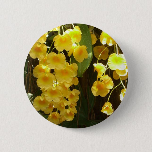 Badge Rond 5 Cm Accrocher les orchidées jaunes Fleurs tropicales (Devant)