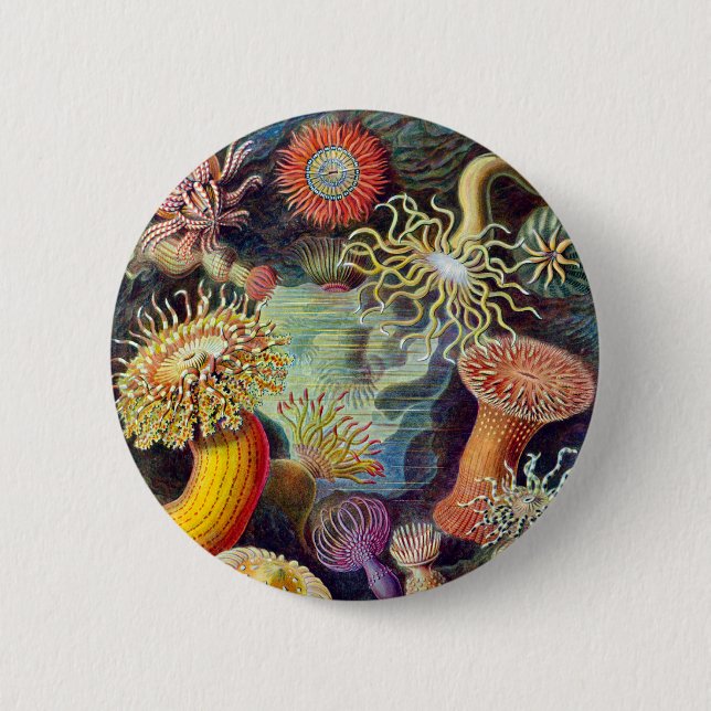 Badge Rond 5 Cm Actiniae illustration peinture Germa Ernst Haeckel (Devant)