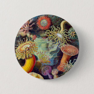 Badge Rond 5 Cm Actiniae illustration peinture Germa Ernst Haeckel