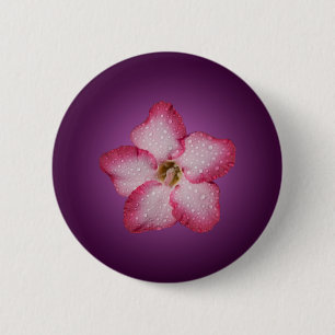 Badge Rond 5 Cm Adénium Fleur Rose Flore Dégradé Violet
