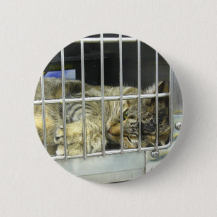 Badge Rond 5 Cm Adoptez un bouton 001 de chat