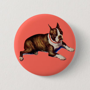 Badge Rond 5 Cm adorable Boston terrier