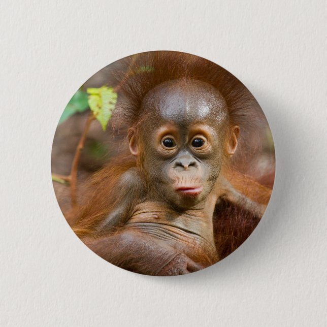Badge Rond 5 Cm Affaires de singe 3 (Devant)