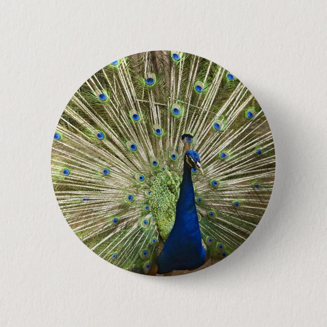 Badge Rond 5 Cm Affichage de paon (Devant)